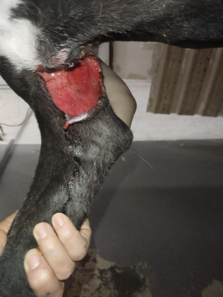 multimedia-foto79159-922-1