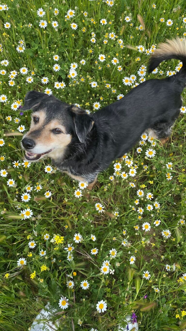 multimedia-foto79166-452-1