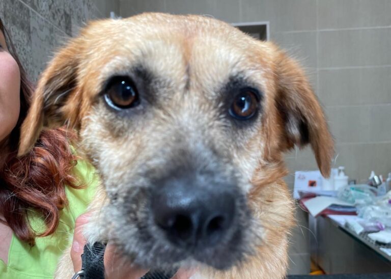 multimedia-foto79169-471-1