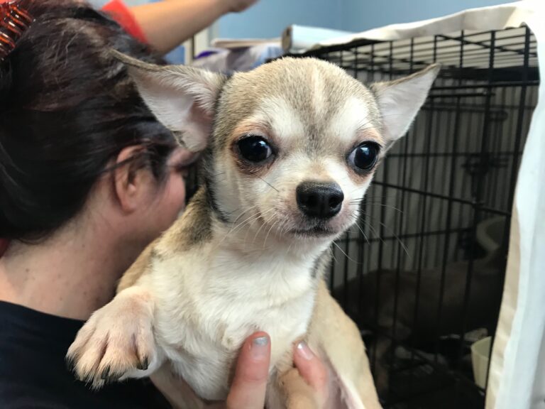 multimedia-foto79172-585-1