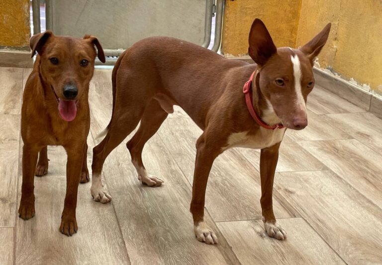 multimedia-foto79180-429-1