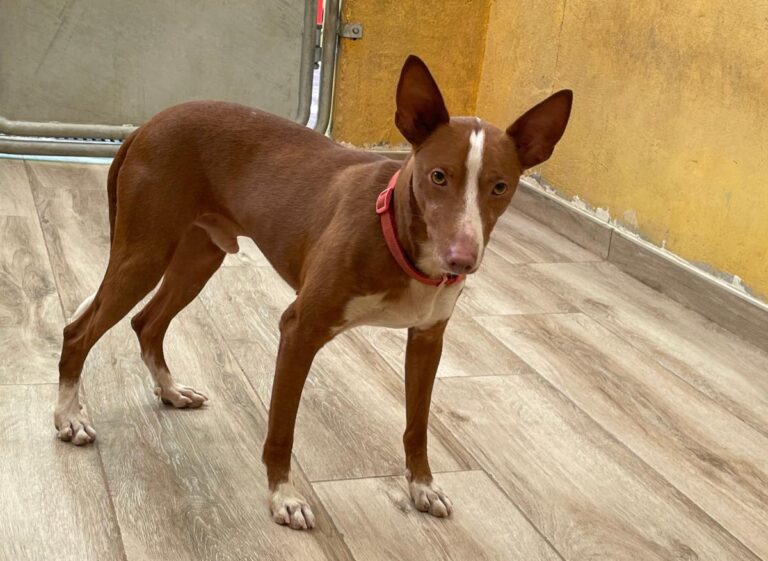 multimedia-foto79182-429-1