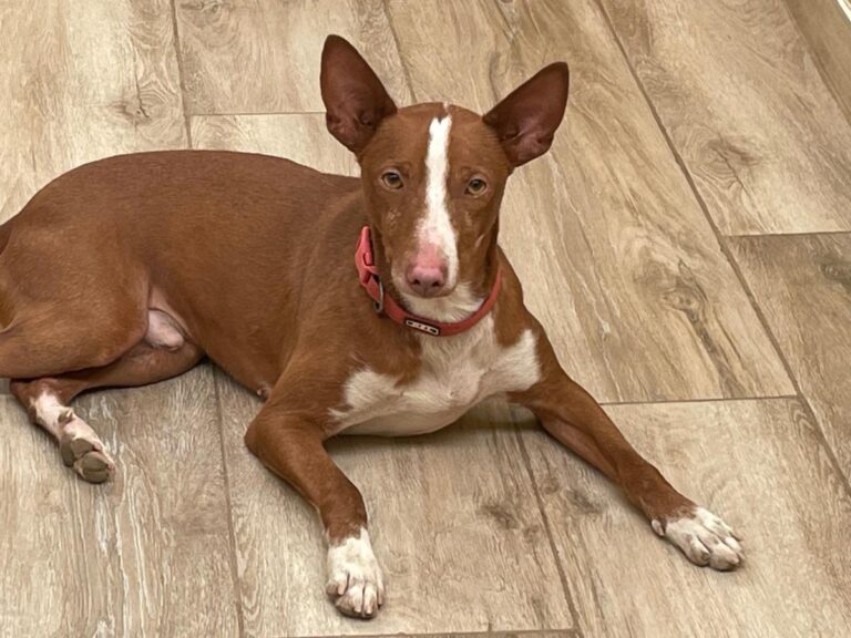 multimedia-foto79183-429-1