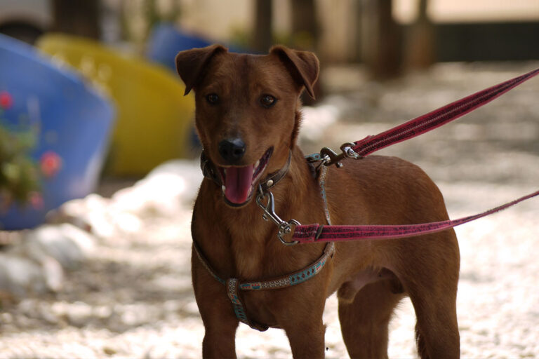 multimedia-foto79209-126-1