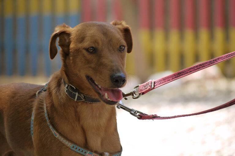 multimedia-foto79210-126-1