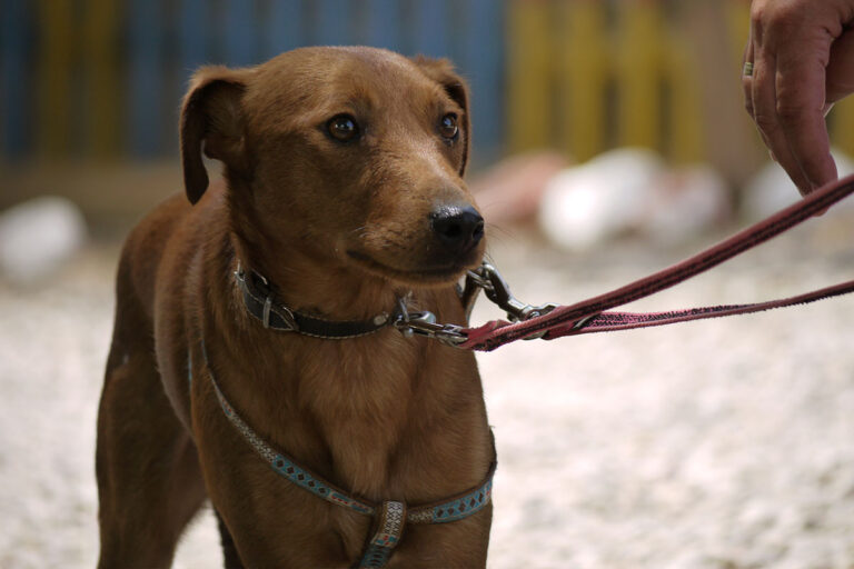 multimedia-foto79211-127-1