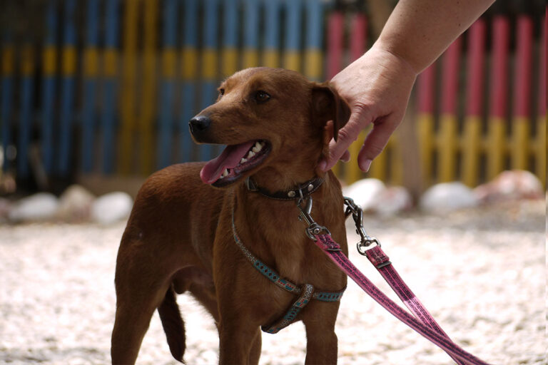 multimedia-foto79212-127-1