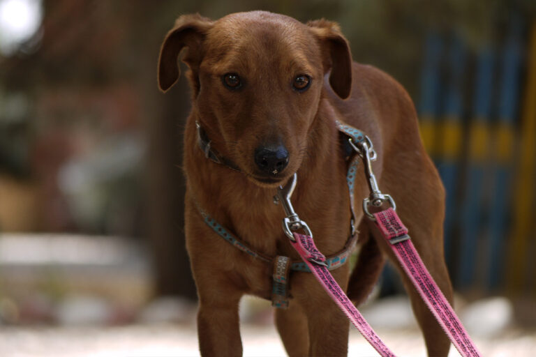 multimedia-foto79213-127-1