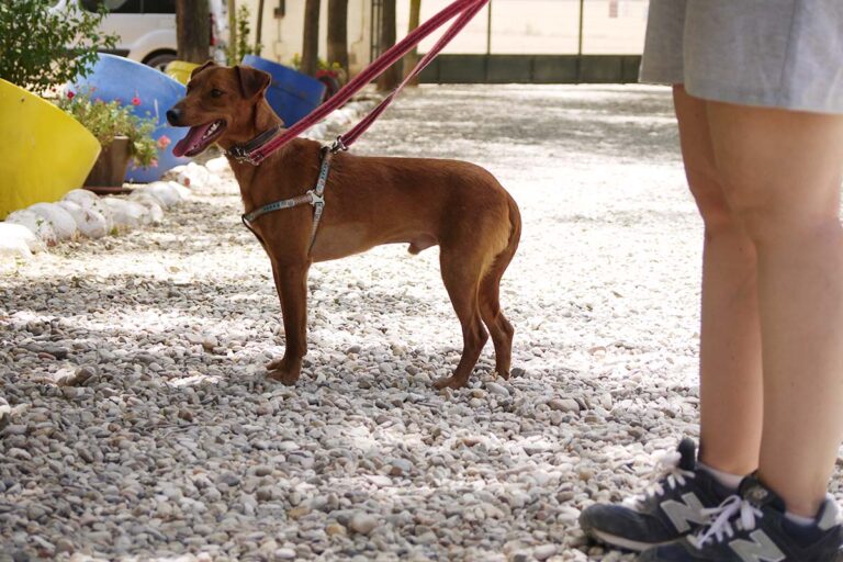 multimedia-foto79214-127-1