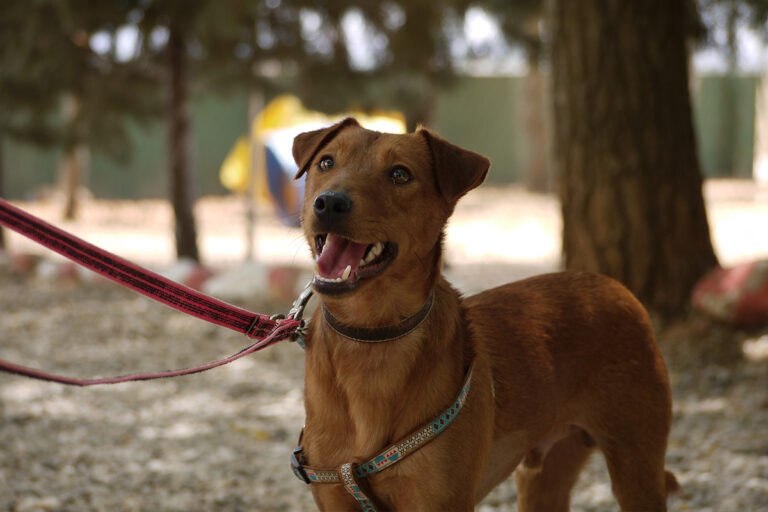 multimedia-foto79215-127-1