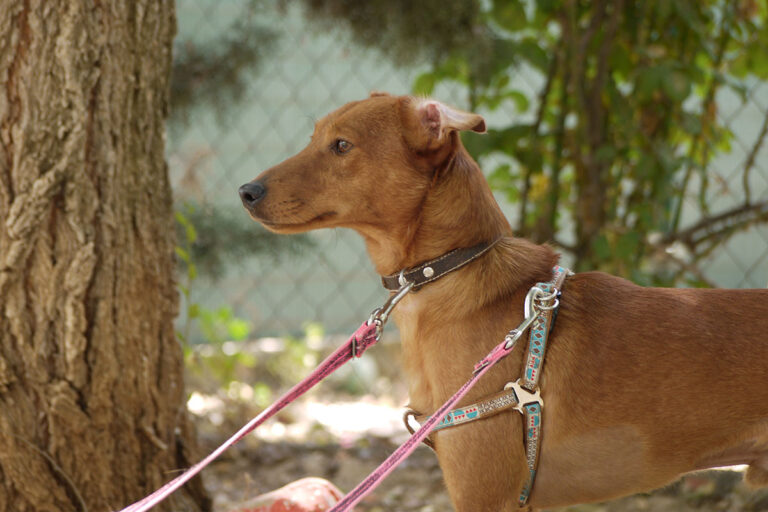 multimedia-foto79216-127-1