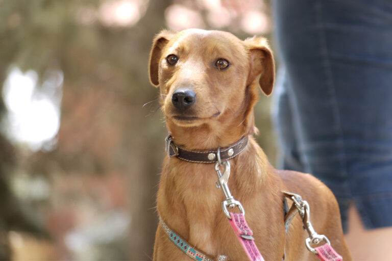 multimedia-foto79217-128-1