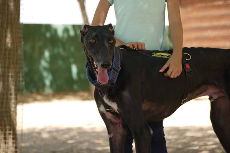 multimedia-foto79231-734-1