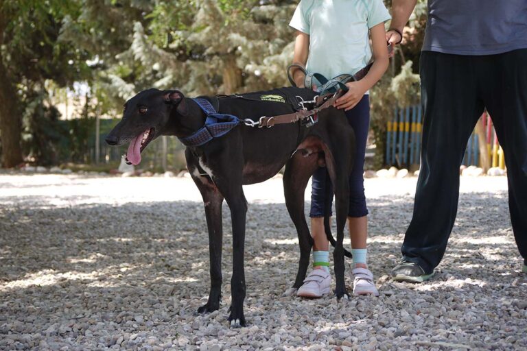 multimedia-foto79233-735-1