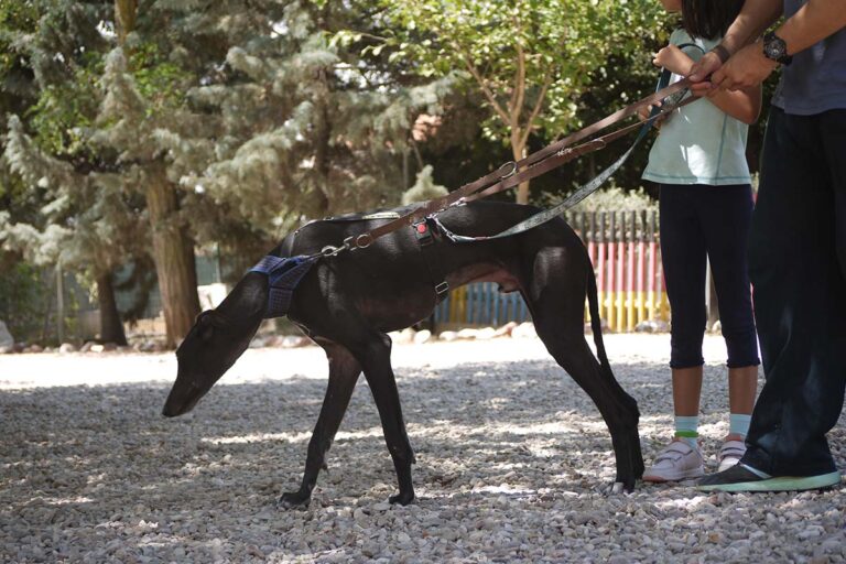 multimedia-foto79234-735-1