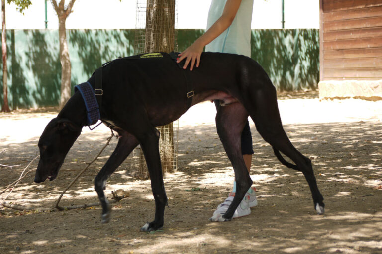 multimedia-foto79237-736-1