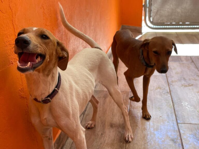 multimedia-foto79239-397-1