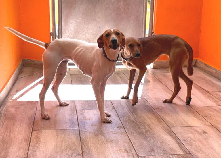 multimedia-foto79240-397-1