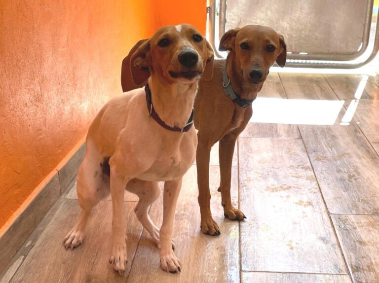 multimedia-foto79241-397-1