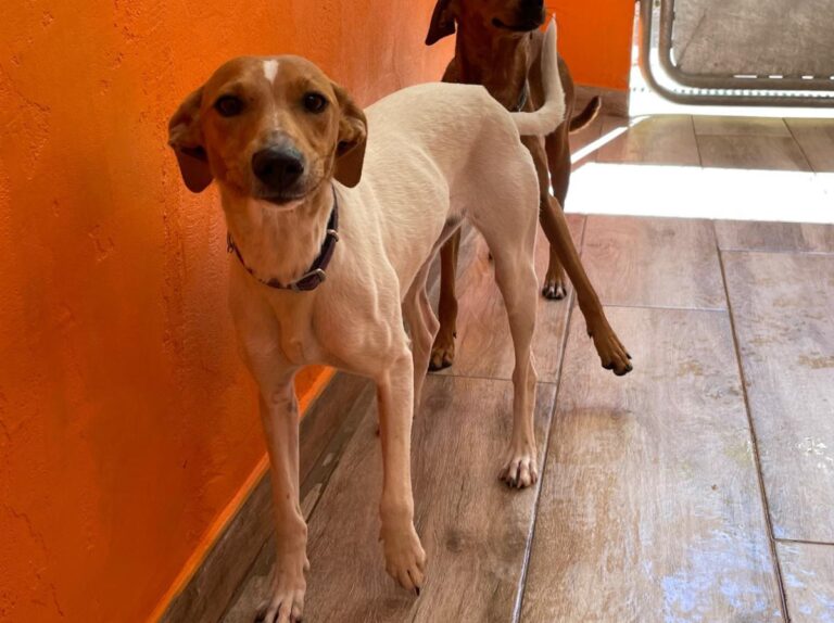 multimedia-foto79242-397-1