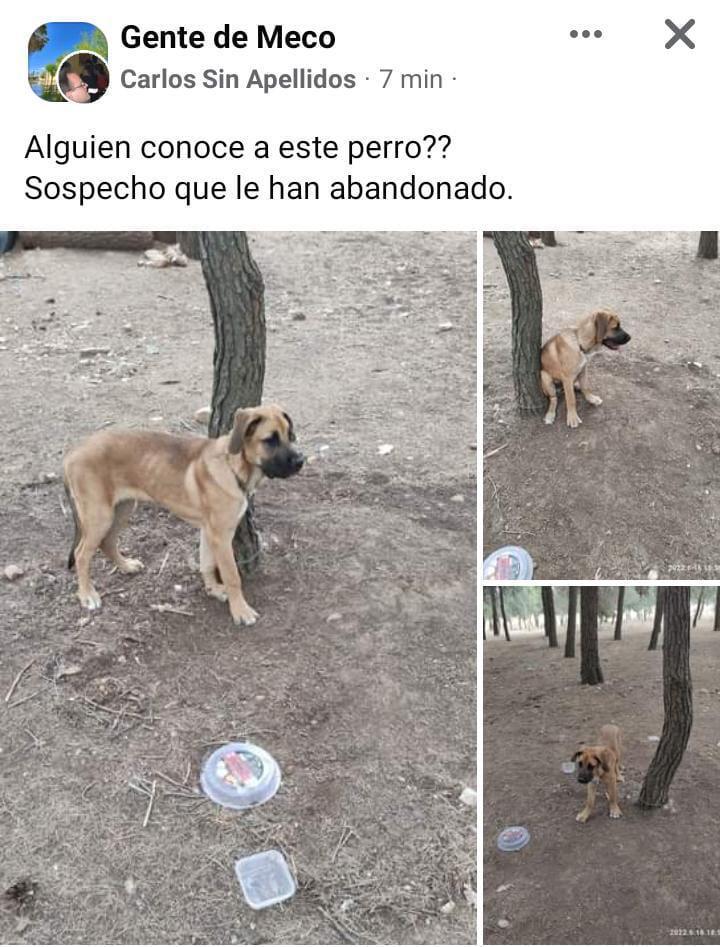 multimedia-foto79248-564-1