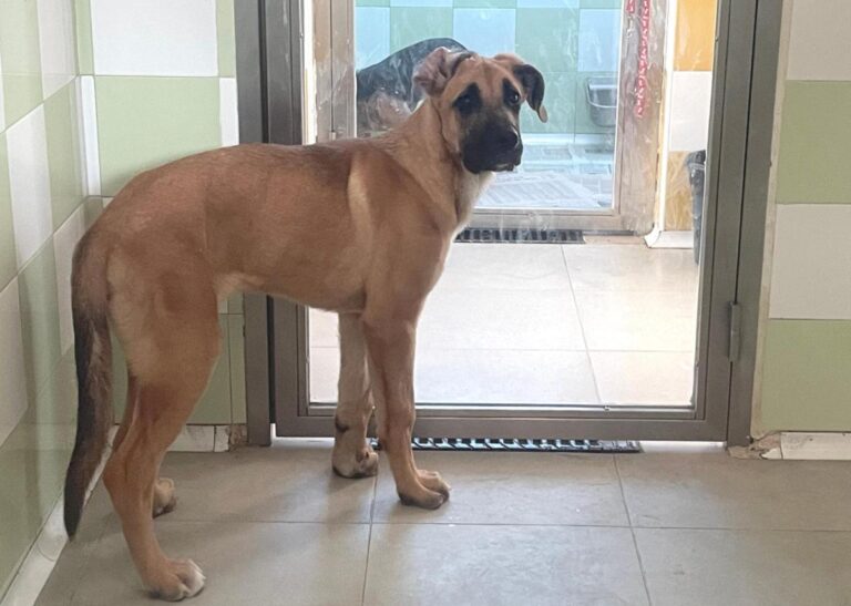 multimedia-foto79251-564-1