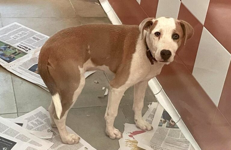 multimedia-foto79254-792-1