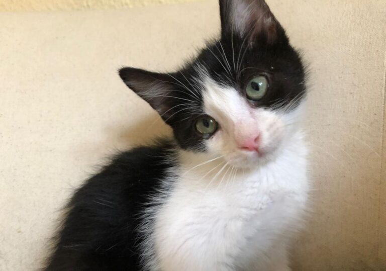 multimedia-foto79275-641-1