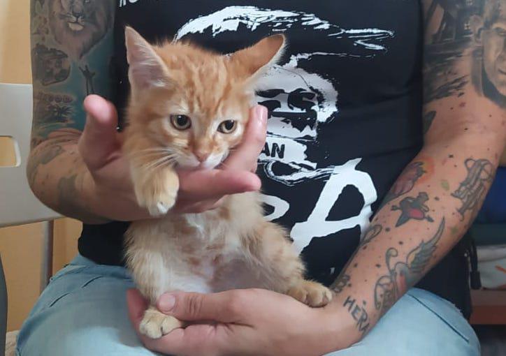 multimedia-foto79299-311-1