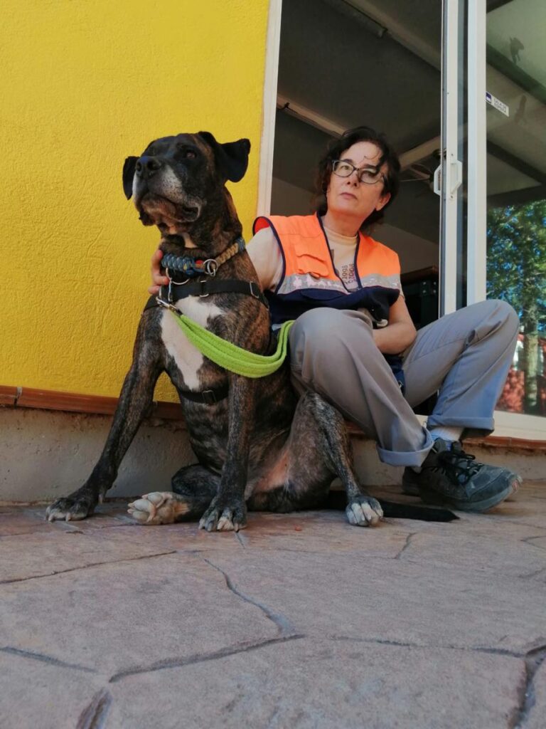 multimedia-foto79315-893-1