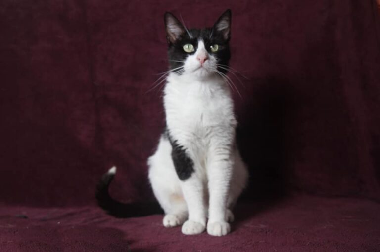 multimedia-foto79327-536-1