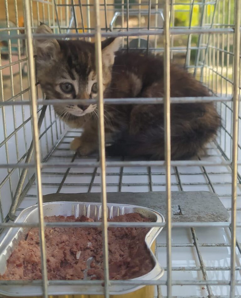 multimedia-foto79351-792-1