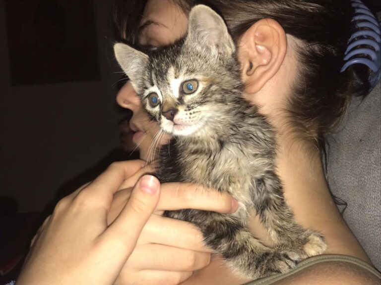 multimedia-foto79352-793-1