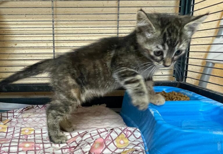 multimedia-foto79357-794-1