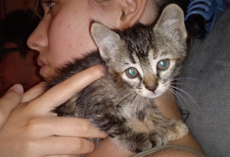 multimedia-foto79360-794-1