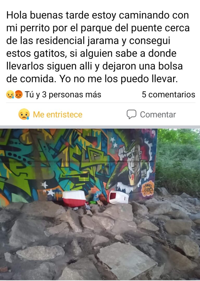 multimedia-foto79380-146-1