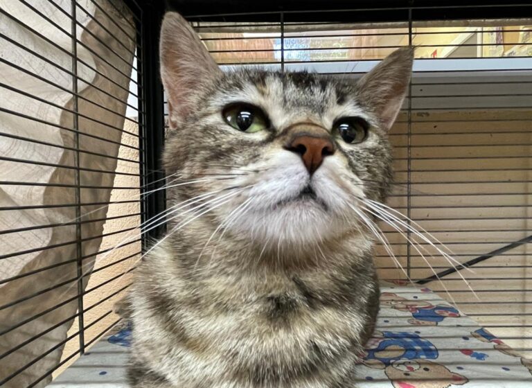 multimedia-foto79387-147-1