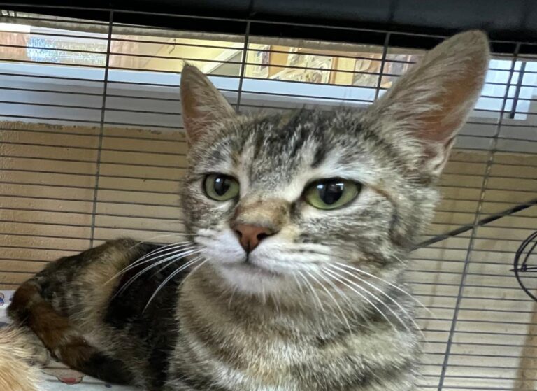 multimedia-foto79388-147-1