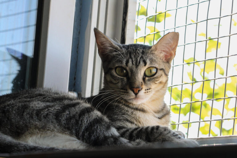 multimedia-foto79407-565-1