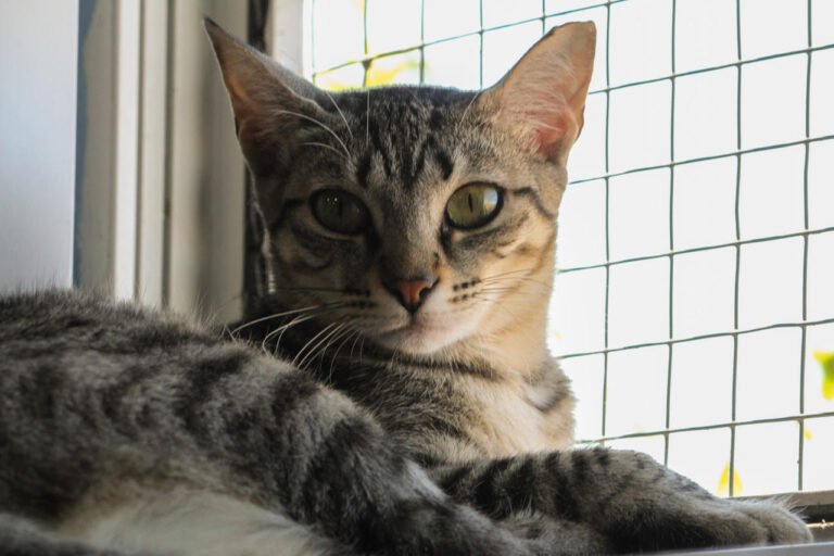 multimedia-foto79410-566-1