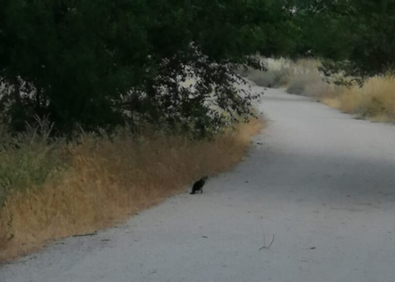 multimedia-foto79416-355-1