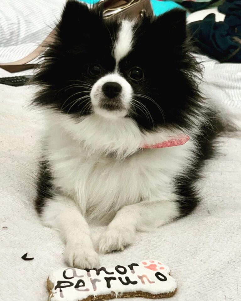 multimedia-foto79430-563-1