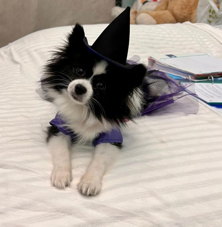 multimedia-foto79431-563-1