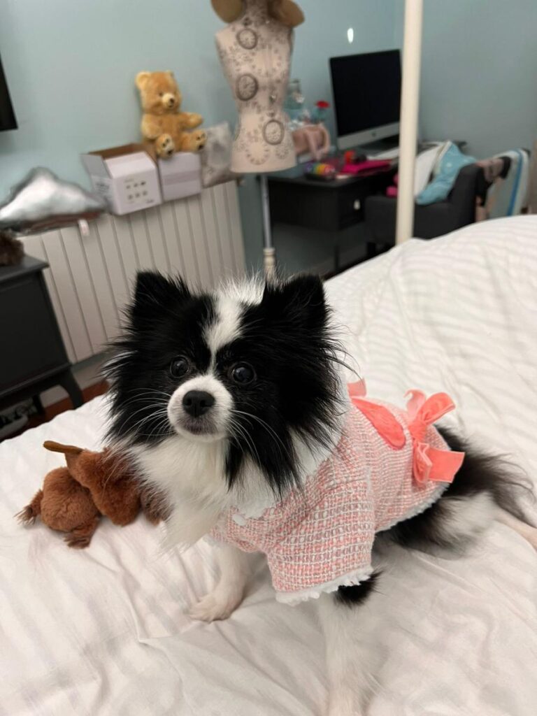 multimedia-foto79432-563-1