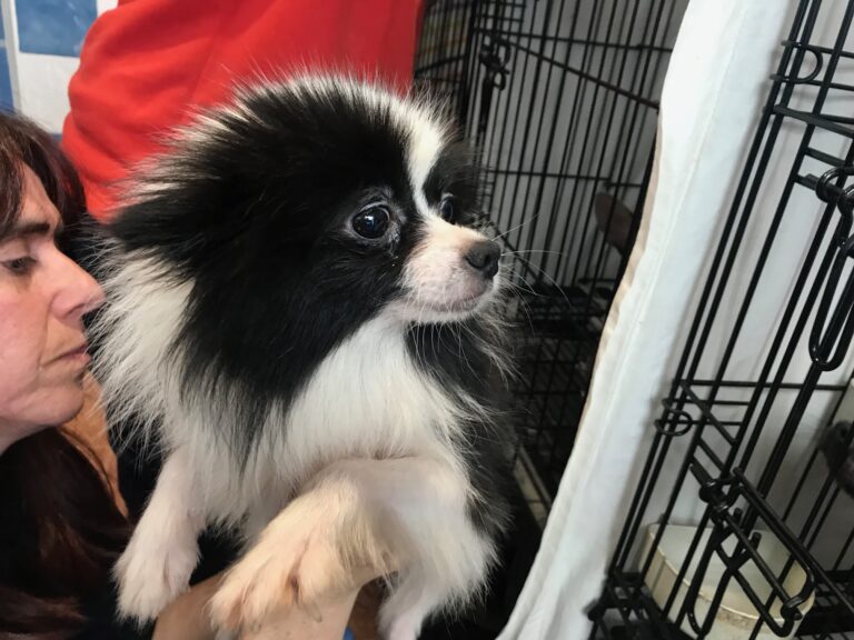 multimedia-foto79435-564-1