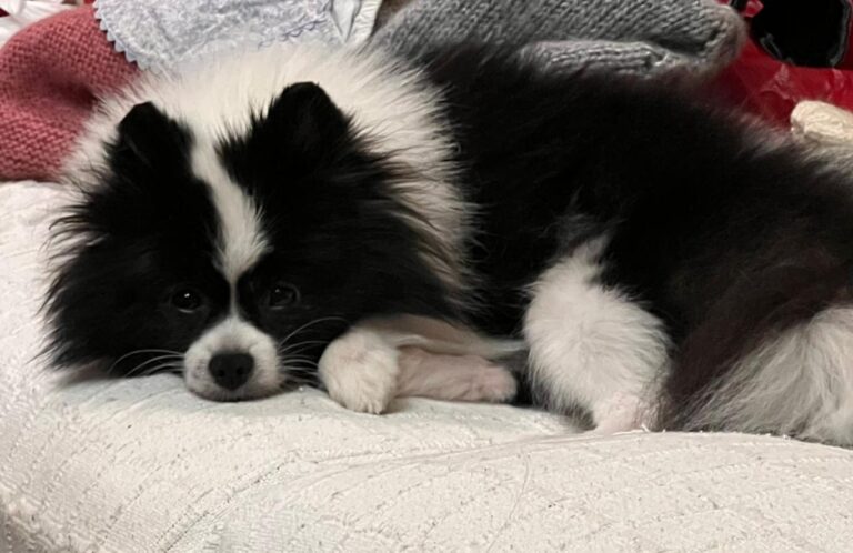 multimedia-foto79436-564-1