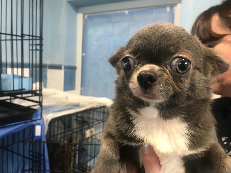 multimedia-foto79441-779-1