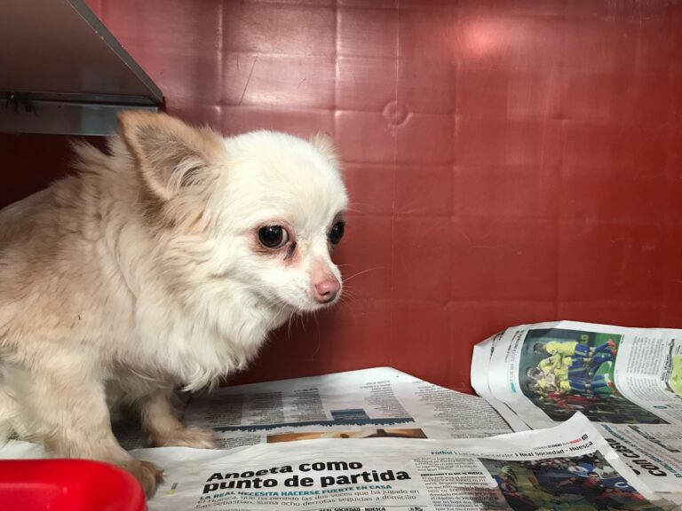 multimedia-foto79442-117-1