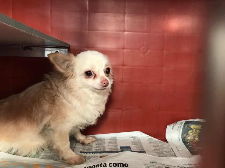 multimedia-foto79443-117-1