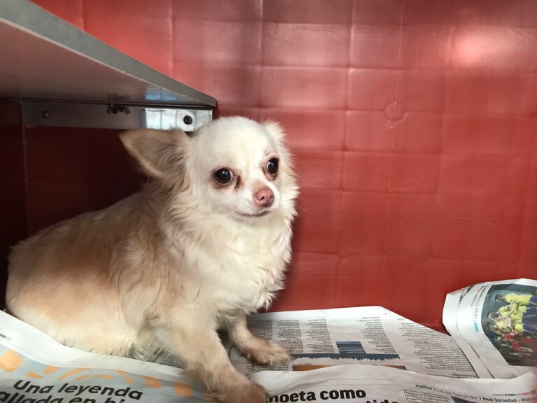 multimedia-foto79444-118-1